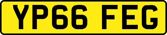YP66FEG