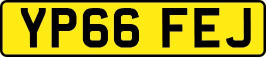 YP66FEJ