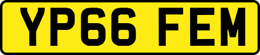 YP66FEM