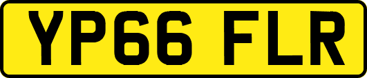 YP66FLR