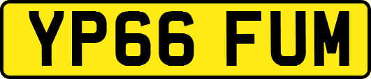 YP66FUM