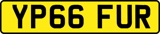 YP66FUR