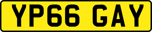 YP66GAY