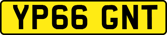 YP66GNT