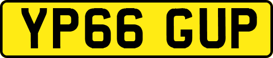 YP66GUP