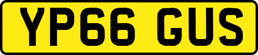 YP66GUS