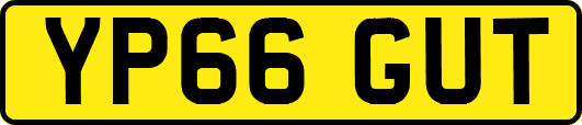 YP66GUT