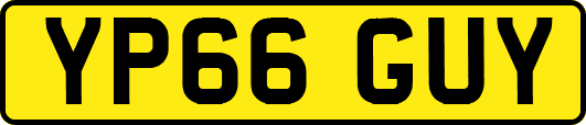 YP66GUY