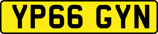 YP66GYN