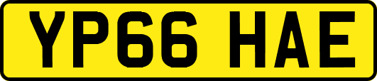 YP66HAE