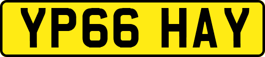 YP66HAY