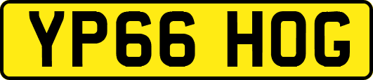 YP66HOG