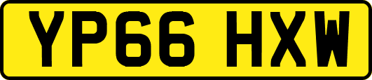 YP66HXW