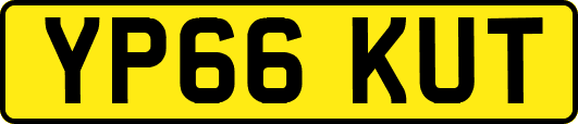 YP66KUT