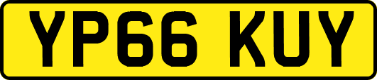 YP66KUY