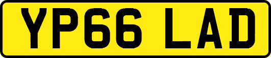 YP66LAD
