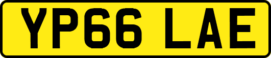 YP66LAE