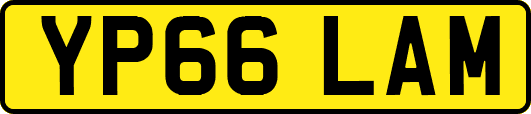 YP66LAM