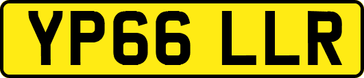 YP66LLR