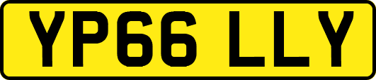 YP66LLY
