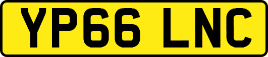 YP66LNC