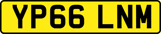 YP66LNM