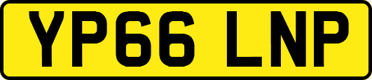 YP66LNP