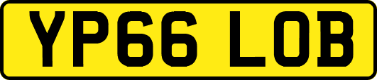 YP66LOB