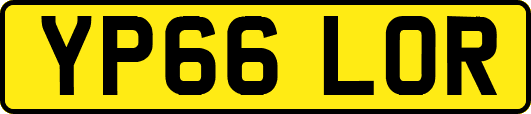 YP66LOR