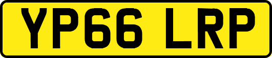 YP66LRP