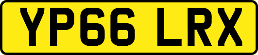 YP66LRX