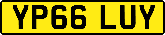 YP66LUY