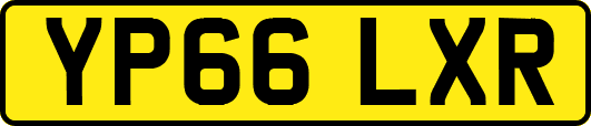 YP66LXR