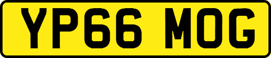 YP66MOG