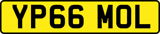 YP66MOL