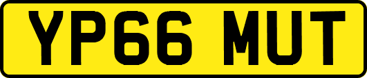 YP66MUT
