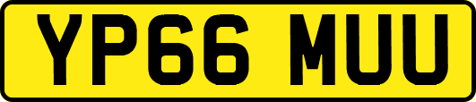 YP66MUU