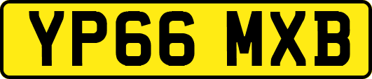 YP66MXB