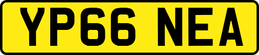 YP66NEA