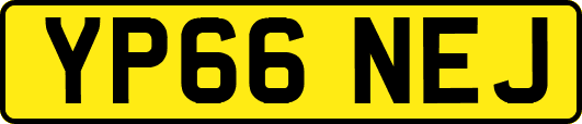 YP66NEJ