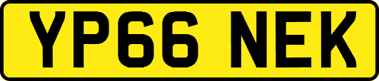 YP66NEK