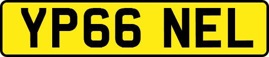YP66NEL