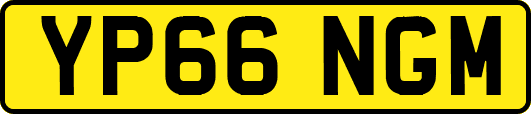 YP66NGM