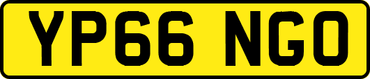 YP66NGO