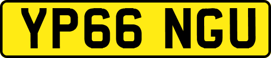 YP66NGU