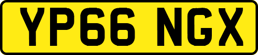 YP66NGX