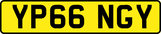 YP66NGY