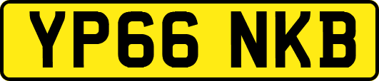 YP66NKB