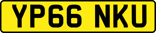 YP66NKU