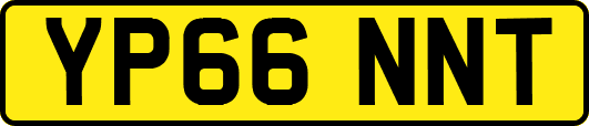 YP66NNT